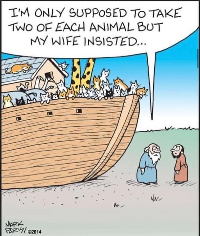 Cats on Noah's Ark